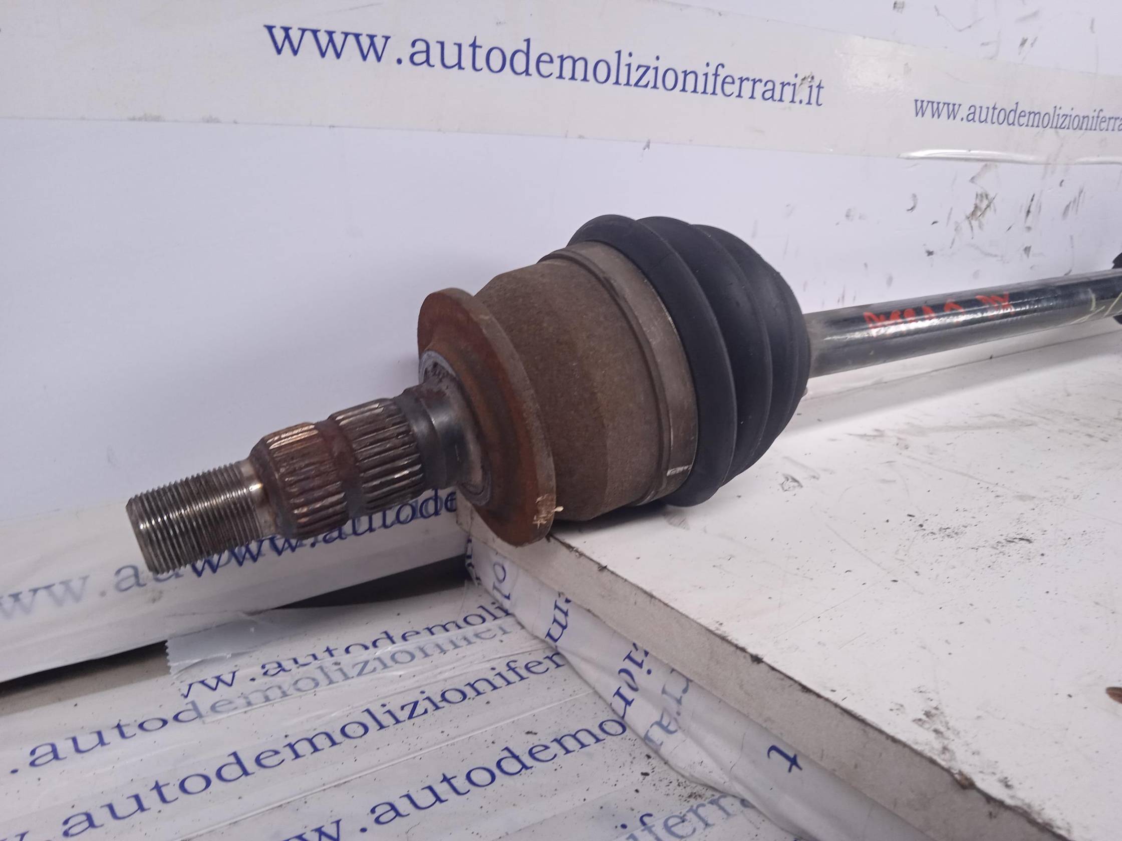 Semialbero ant. compl. dx.